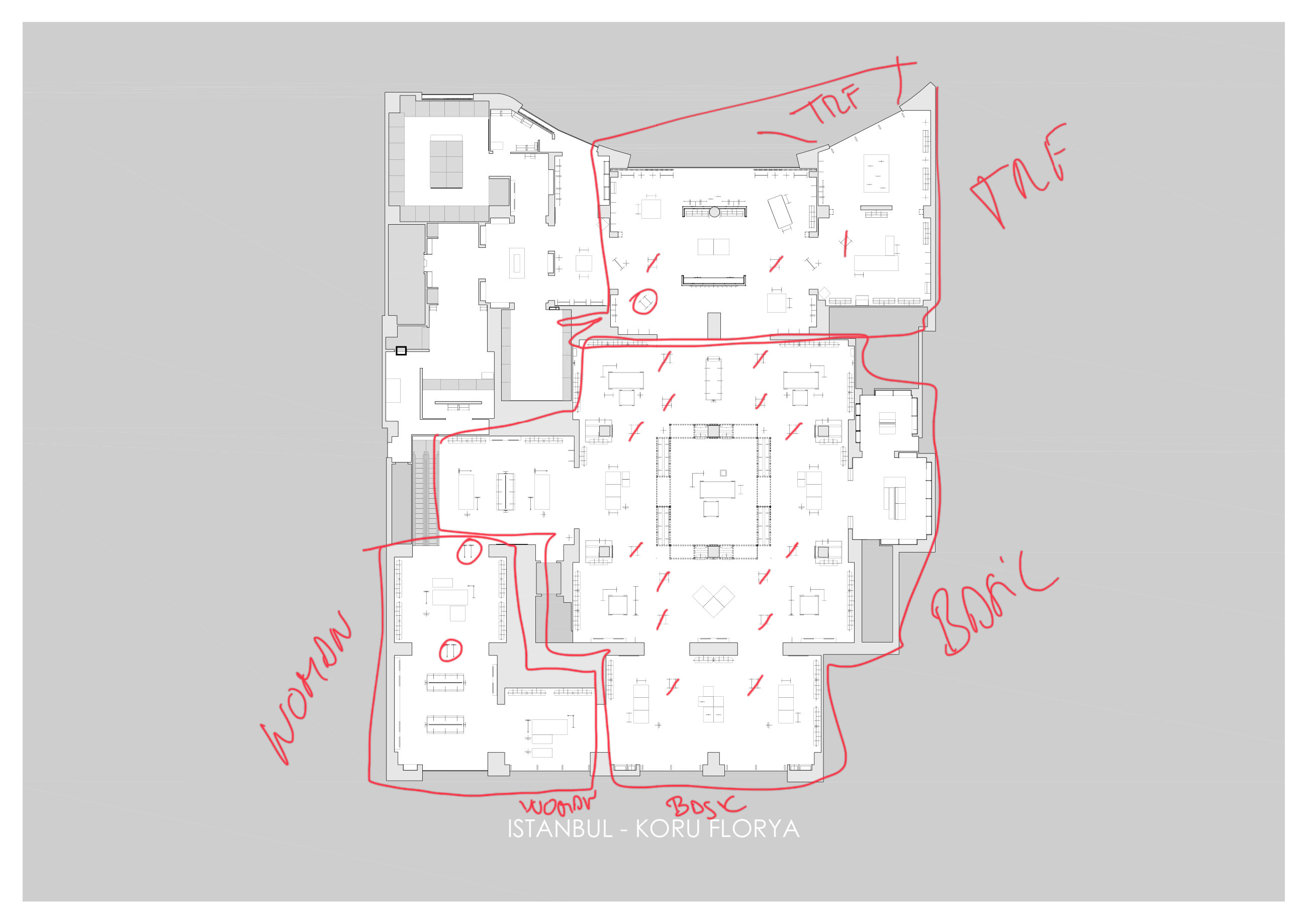 Planta 00: WOMAN, BASIC y TRF